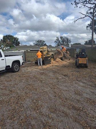 Bionic Beaver Stump Grinding