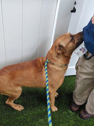 Hillsborough County Pet Resource Center
