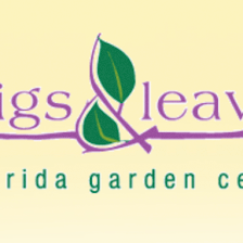 Twigs & Leaves