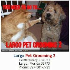 Largo Pet Grooming 2