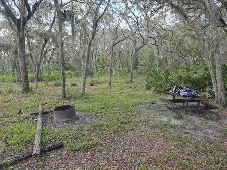 Gator Hole