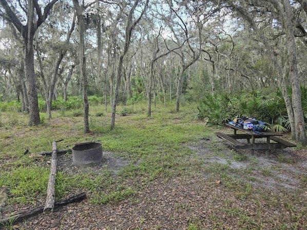 Gator Hole