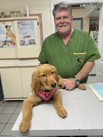 A Pet's Place of Clearwater