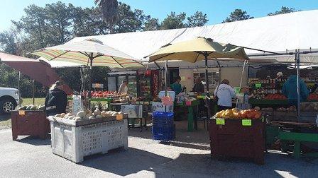Dixie Harvest Produce