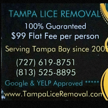 Tampa Lice Removal Lutz
