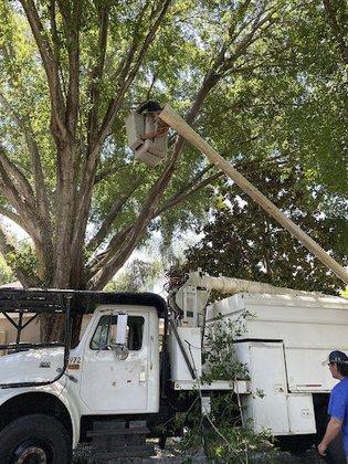 Casma Tree Services