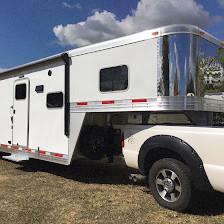 No Reins Equine, LLC