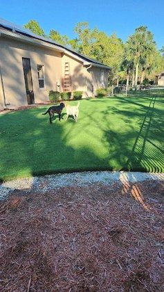 Turf Pro Synthetics