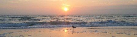 Gulf Coast Web Design