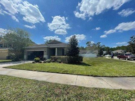 Tampa landscape solutions