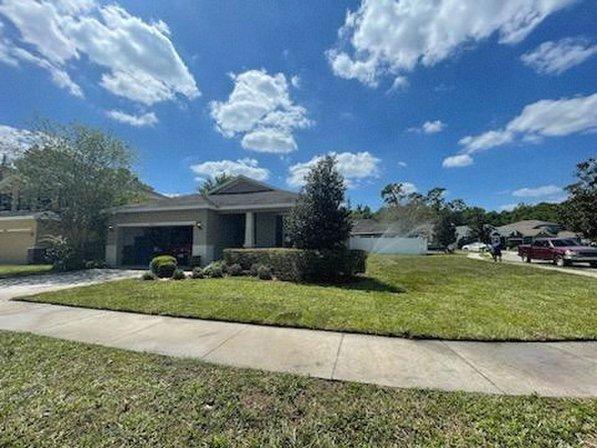 Tampa landscape solutions