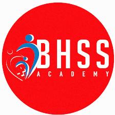 Berkshire Healthcare Staffing Solutions LLC