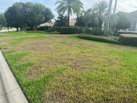 Massey Services GreenUP Lawn Care Service