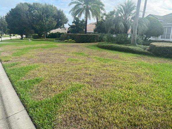 Massey Services GreenUP Lawn Care Service