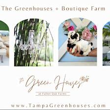 The Tampa Green Houses