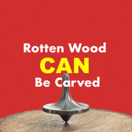 Rotten Wood Can Be Carved QIGONG