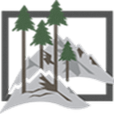 Tampa International Forest Products, LLC