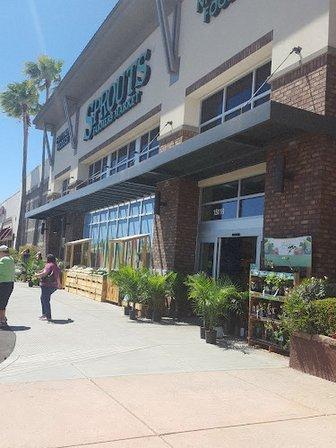 Carrollwood Commons