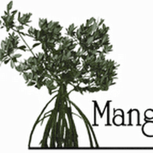 Mangrove Financial Group