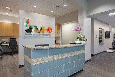 Tampa Veterinary Hospital
