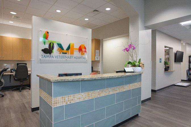 Tampa Veterinary Hospital