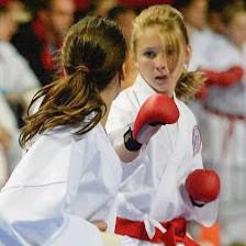 Ingram's Karate Center