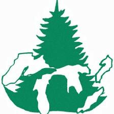 Great Lakes Christmas Tree Farms