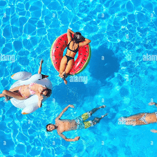 Tampa Pool Builders