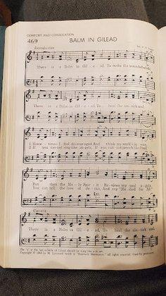 Pleasantview Mennonite Fellowship