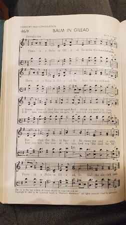 Pleasantview Mennonite Fellowship