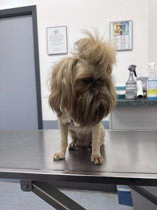 Claws & Paws Animal Hospital
