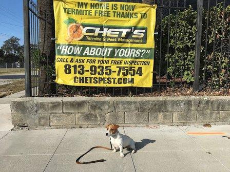 Chet's Termite & Pest Management, Inc.