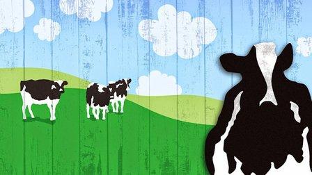 Ben & Jerry's