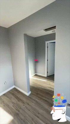 Octopus Bros : Pintura residencial en Tampa