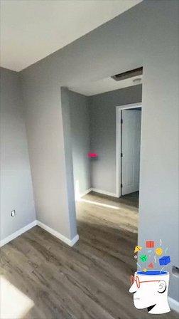 Octopus Bros : Pintura residencial en Tampa