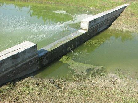 Environmental Safety Consultants, Inc.