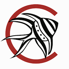 Cardinal Aquariums