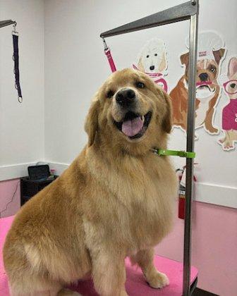 Woof Gang Bakery & Grooming Fishhawk Commons