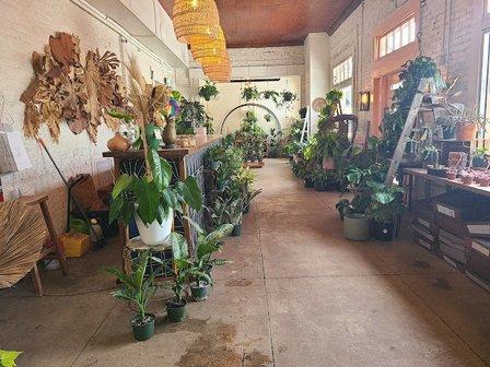 Fancy Free Nursery