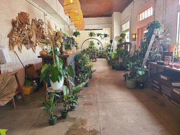 Fancy Free Nursery