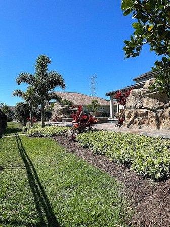 Naturescapes of Tampa Bay inc.