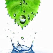 Value Environmental Services Inc
