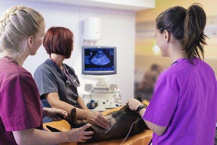 Choice Medical Systems Inc