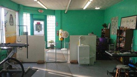All In One Pet Parlor - Dog & Cat Grooming