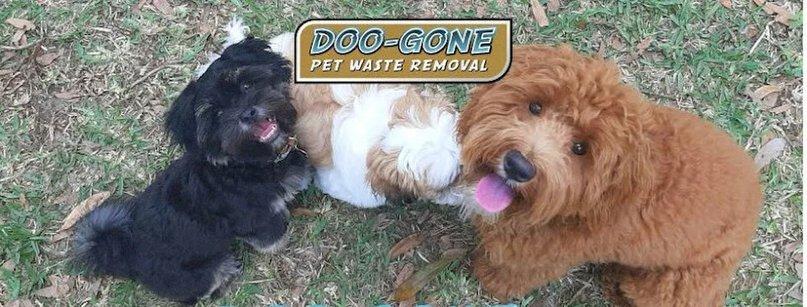 Doo-Gone