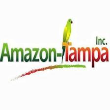 Amazon-Tampa Inc.