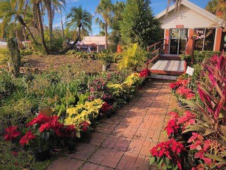 Staggs Nursery