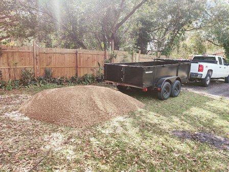 The lions bin llc