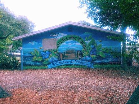 Church Lake Farms