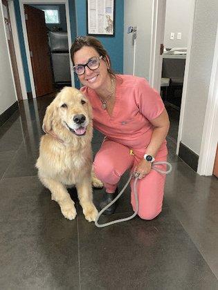 Lakeside Animal Hospital
